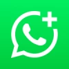 Whatsapp Plus Verde